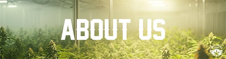 About Effy Exotics