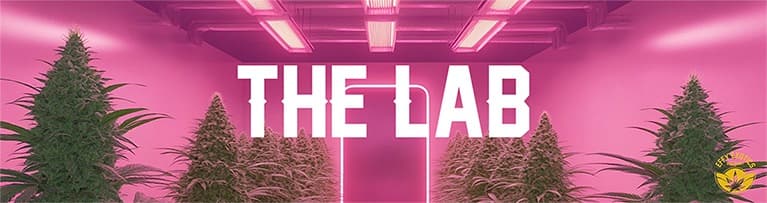 Effy Exotics grow house